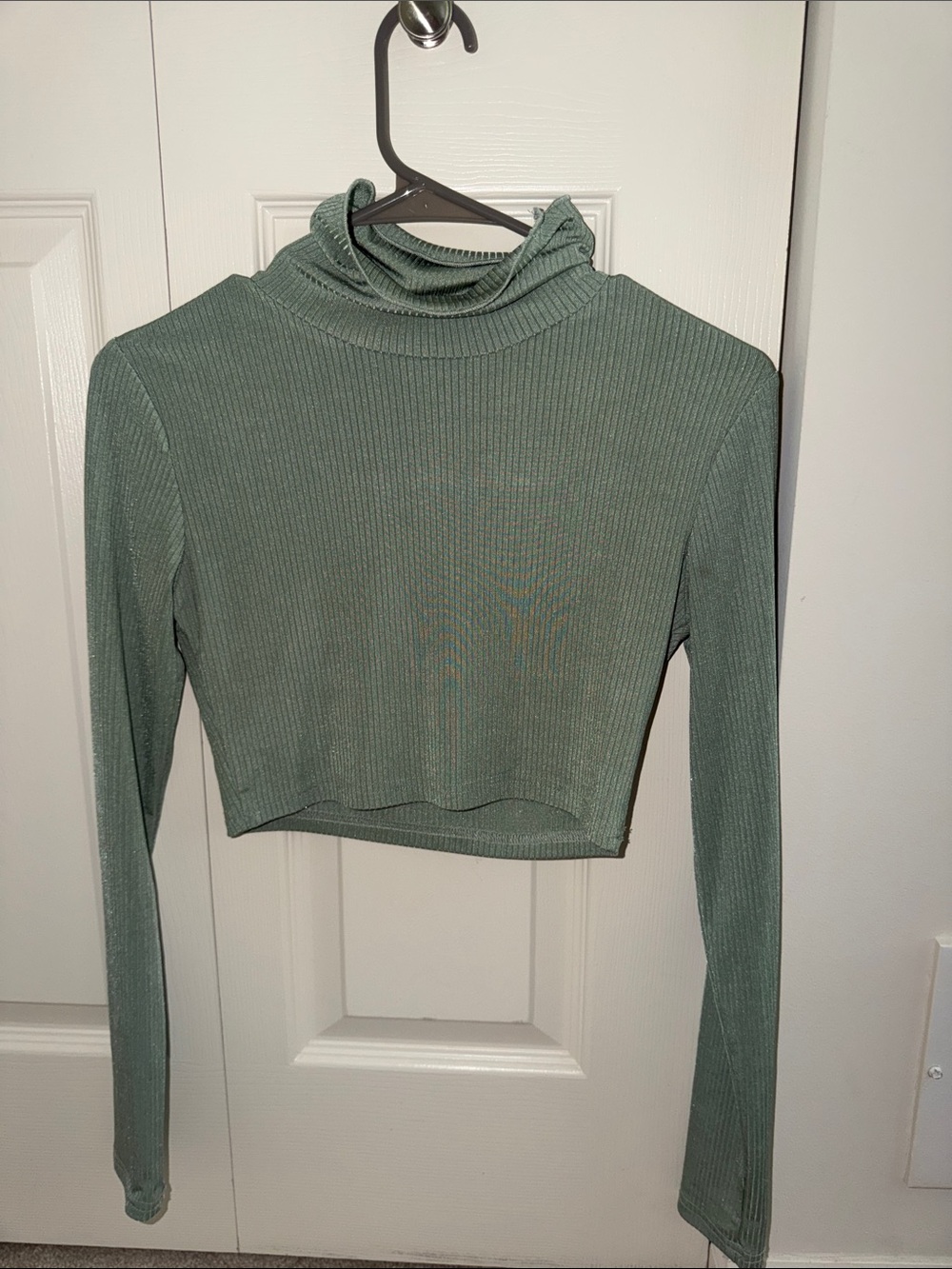 SHEIN Ribbed Cropped Turtleneck Top in Sage Green
